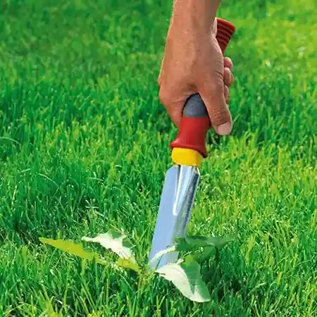 Wolf Garten Weed Extractor (KS-2K), Fixed Handle and Comfort Grip, Lightweight, Easy To Use