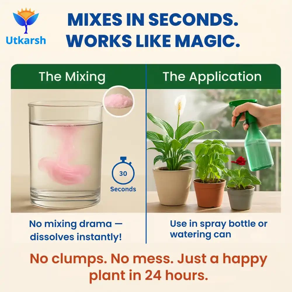 Utkarsh NPK (19:19:19) (Crystalline 100% Water Soluble Complex Fertilizer), Best Drip Irrigation Fertilizer - Image 3