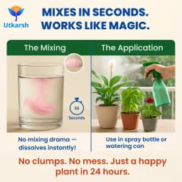 Utkarsh NPK (19:19:19) (Crystalline 100% Water Soluble Complex Fertilizer), Best Drip Irrigation Fertilizer 3