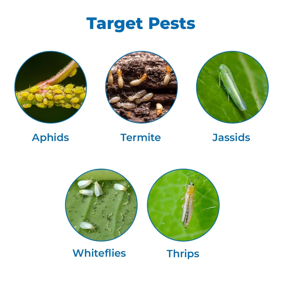EBS THIOMAX SUPER Thiamethoxam 75% SG Broad Spectrum Insecticide, Systemic Action - Image 3