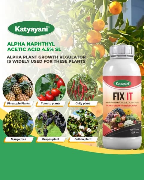 Katyayani Fix IT Alpha Naphthyl Acetic Acid 4.5% SL Plant Growth Regulator, Liquid For Chilli, Mango - Image 7
