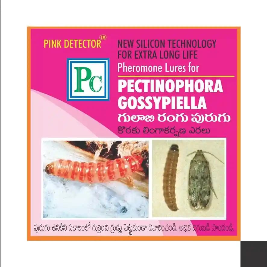 Pheromone Trap With Pectinophera Gossypilla Lure (10 Pack) Trap and Lure, Complete Set for Cotton Pink Bollworm, Protects Crops From Harmful Pests - Image 3