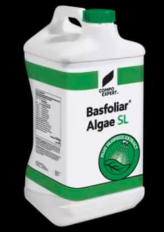 Compo Expert Basfoliar Algae Sl Bio-Stimulates, Based On Durvillea Antarctica Seaweed Extract, Plus Essential Minerals - Image 2