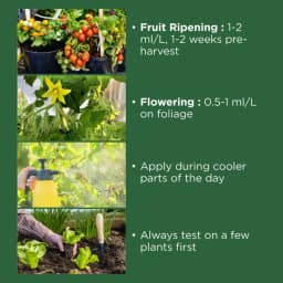 Titan Agritech Peppy-X Ethephon 39% SL Plant Growth Regulator, Enhances Flower Initiation In Fruit Trees And Ornamentals 4