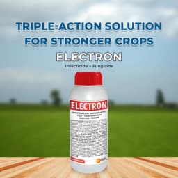 UPL Electron Azoxystrobin 2.5% + Thiophanate Methyl 11.25% + Thiamethoxam 25% Fs (Insecticide + Fungicide) 2