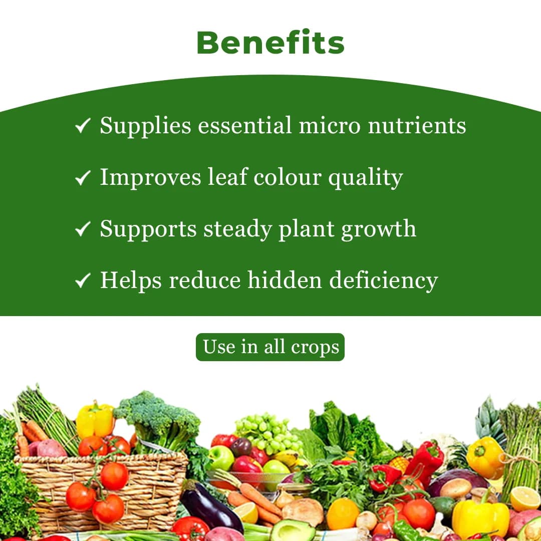 NUTRIMIX (Bio Encapsulated Multi Micro-Nutrients) Bioactive, Iron, Zinc, Manganaese, Boron and Other Essential Micronutrients - Image 4