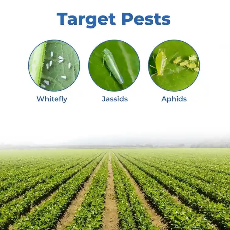 Ju Tridev Pyriproxyfen 8% + Diafenthiuron 18% + Dinotefuran 5% SC, Highly Effective Against Various Sucking Pest - Image 3