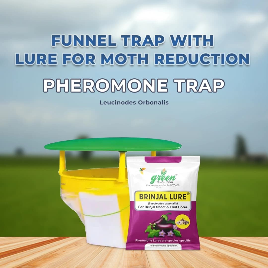 फनल फेरोमोन ट्रैप, ब्रिनजल ल्यूसिन-ओ-ल्यूर (ल्यूसीनोड्स ऑर्बोनालिस) बैंगन फल और तना छेदक कीट के लिए। - Image 2