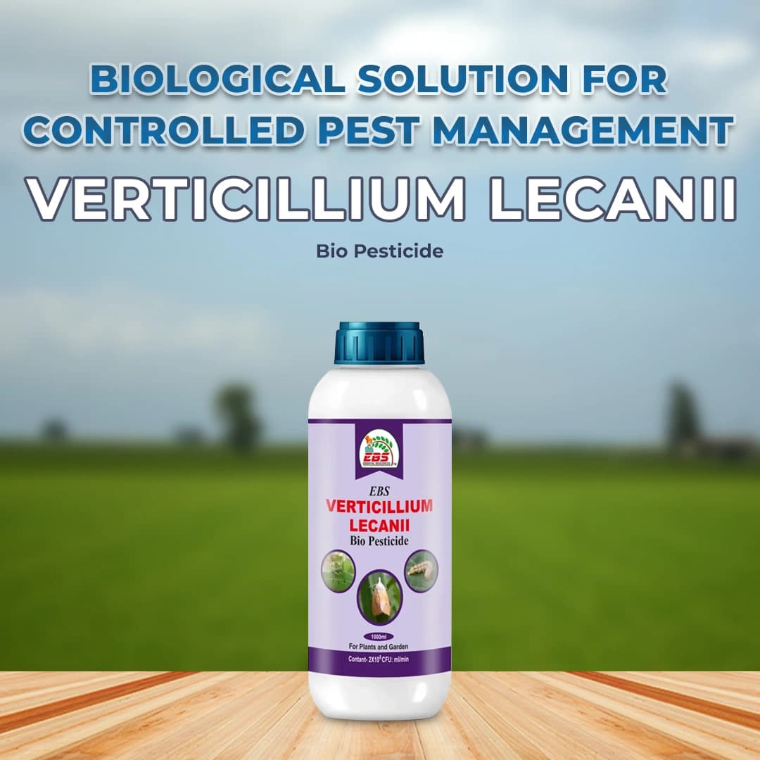 EBS Verticillium Lecanii Bio Pesticide - Image 2
