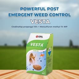UPL Vesta Clodinafop propargyl 15% + Metsulfuron methyl 1% WP, Post Emergent Herbicide. 2