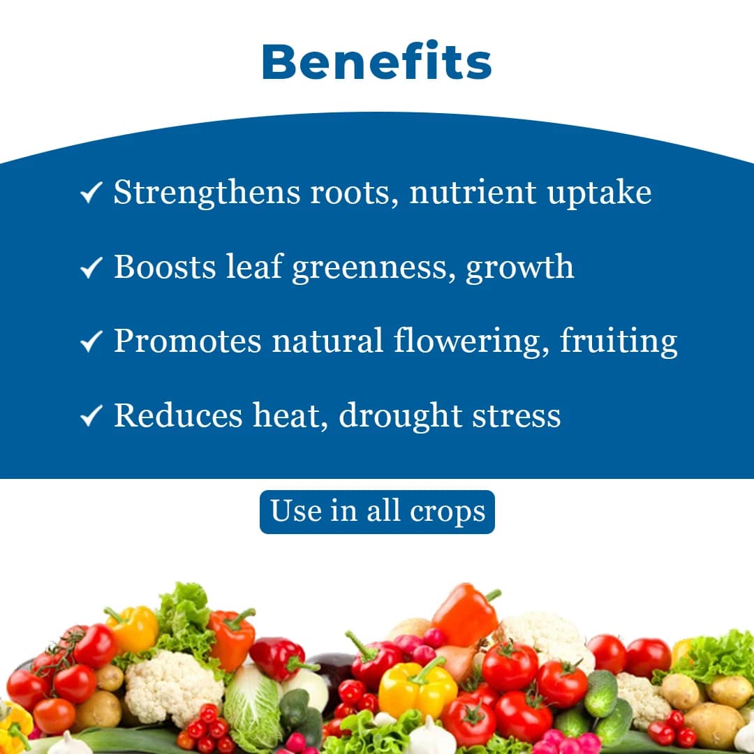 Easykrishi GreeNgrowth Plus Plants Growth Promoter & Nutrients Enhancer for All Types of Plants - Image 4