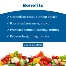 Easykrishi GreeNgrowth Plus Plants Growth Promoter & Nutrients Enhancer for All Types of Plants 4