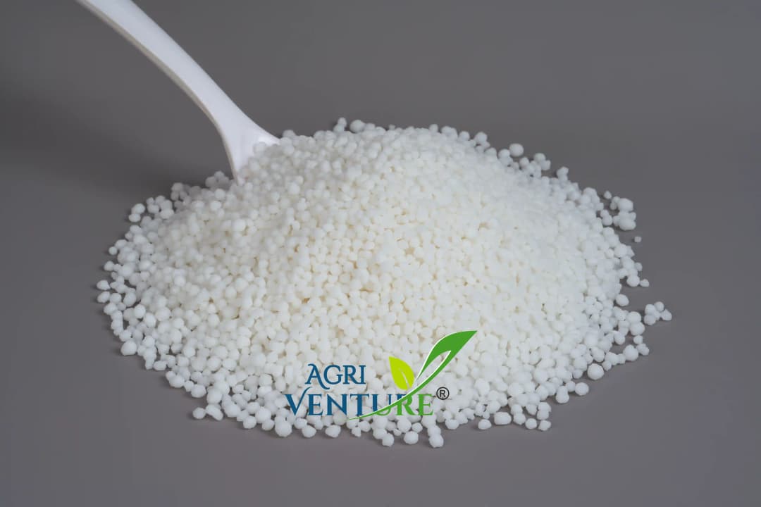 Agriventure Calcium Nitrate 18.8%, 100% Water Soluble Fertilizer, Increases Crop Quality And Yield - Image 5