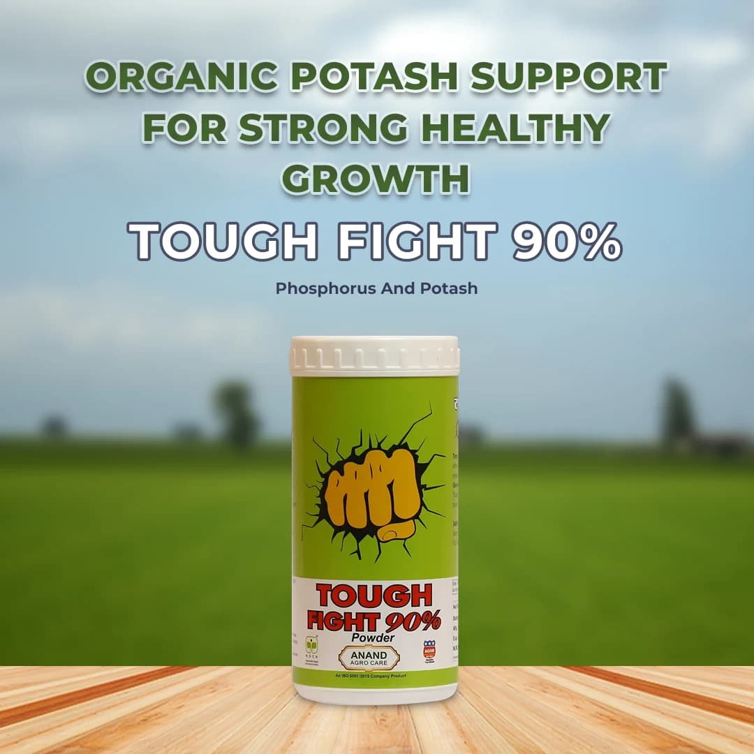 Anand Tough Fight 90% Powder Combination of Active Phosphorus And Potash, Helps In Increasing Yield. - Image 2