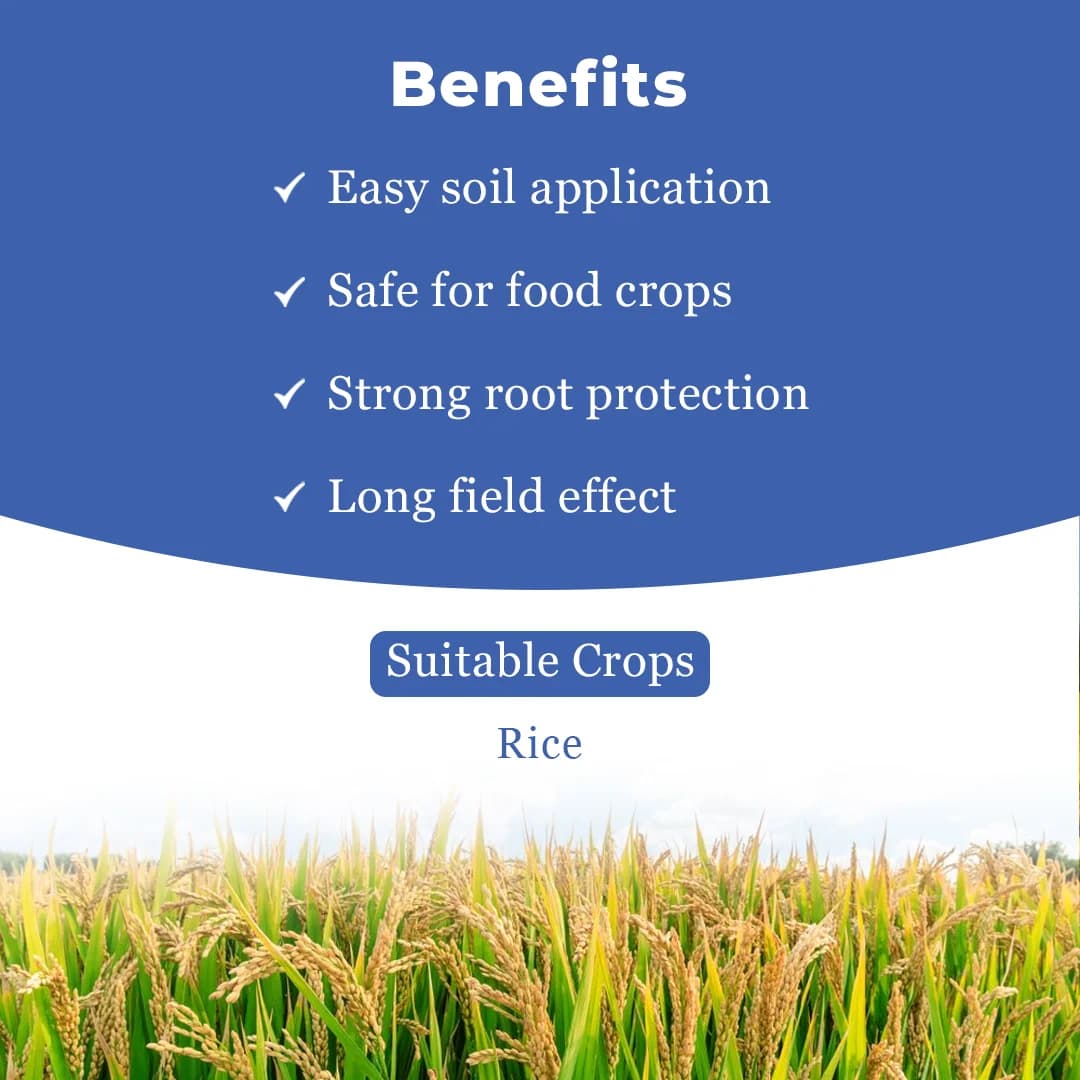 Bayer Regent Ultra Insecticide Fipronil 0.6% GR, Can Be Used At Any Stage Of The Crop. - Image 4
