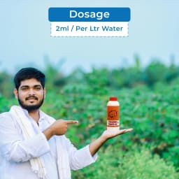 Tough Fight 40% - Liquid Potash Fertilizer 5