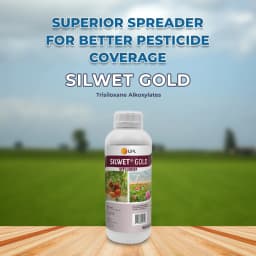 UPL Silwet Gold Organosilicone Adjuvant, Super Spreader, Higher Efficacy And Reduce Spray Volumes 2