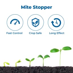 Willowood Willo-Mite Propargite 57% EC Insecticide, all Type of Mite Controller, Use for Tea, Brinjal, Chili and Apple 3