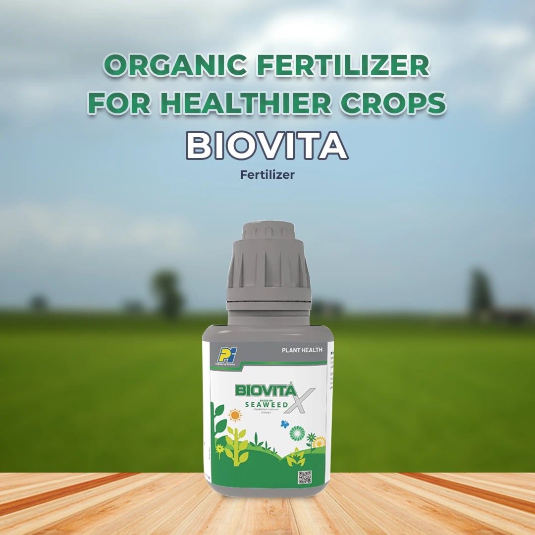 PI Biovita X Fertilizer - Based On Seaweed Extract