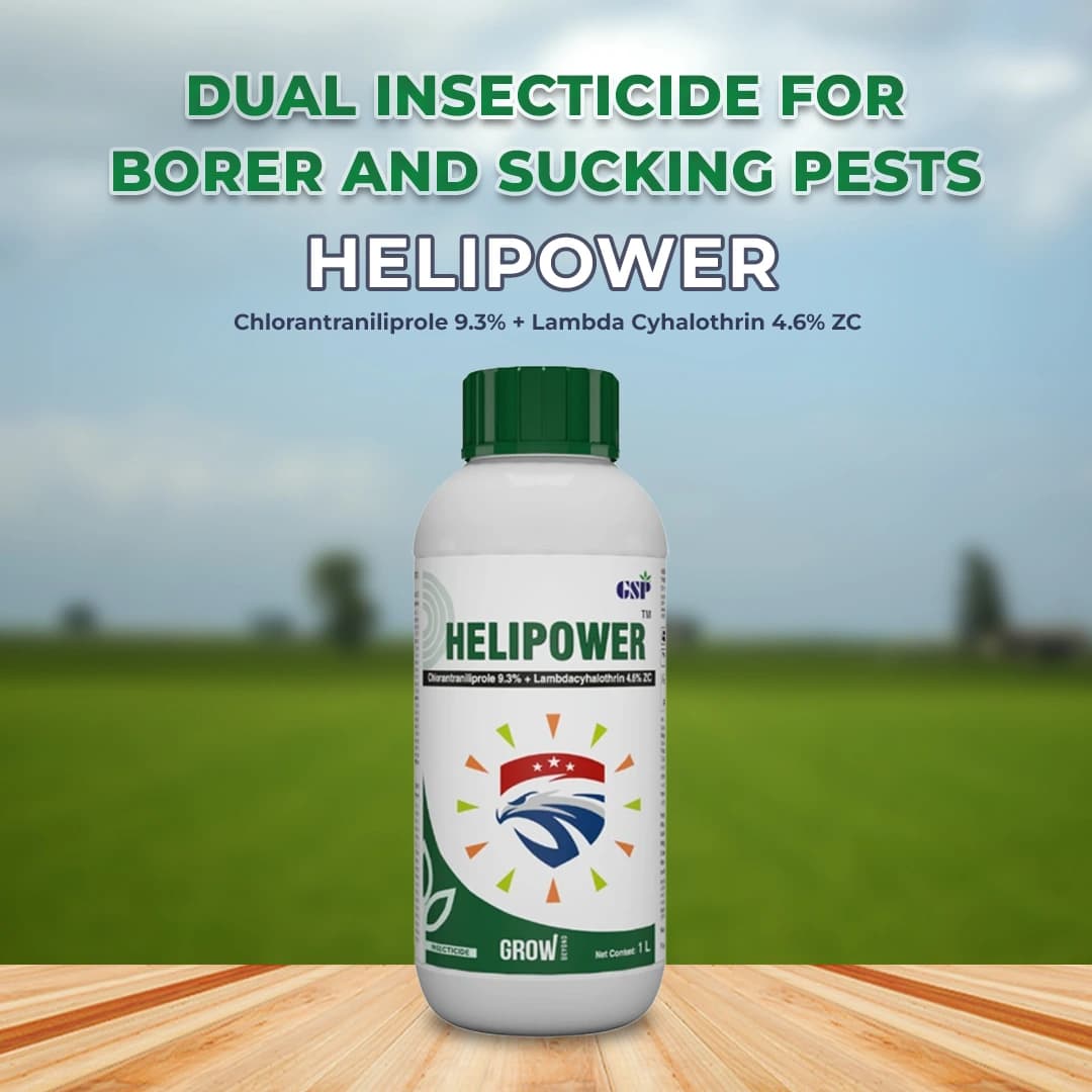 GSP Helipower Chlorantraniliprole 9.3% + Lambda Cyhalothrin 4.6% ZC Insecticide, Use For Cotton, Soybean, Paddy, Pigeon Peas, Brinjal and Okra - Image 2