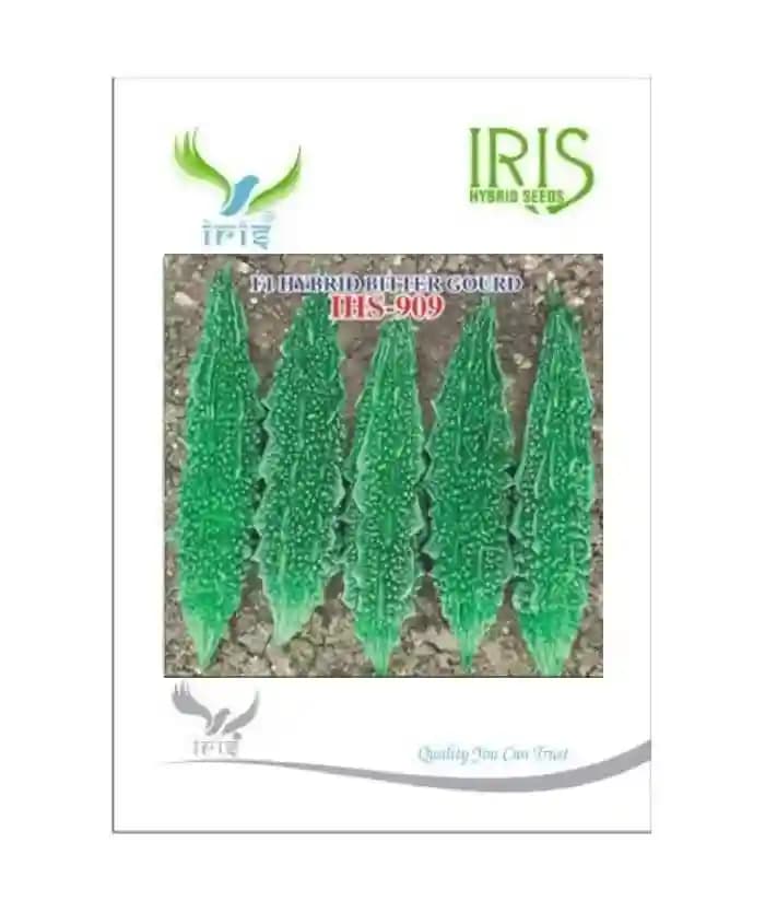 Iris Hybrid Vegetable Seeds, F1 Hybrid Bitter Gourd IHS-909, Attractive Green Color - Image 3