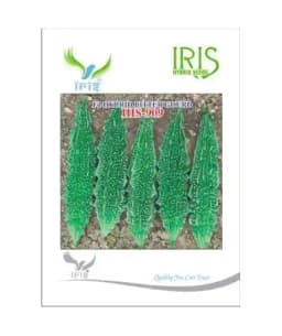 Iris Hybrid Vegetable Seeds, F1 Hybrid Bitter Gourd IHS-909, Attractive Green Color 3
