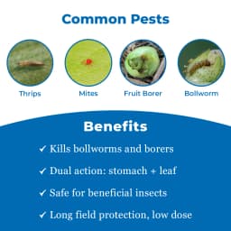 यूपीएल स्पोलिट एमेक्तिन बेंजोएट 5% एसजी कीटनाशक, ट्रांसलामिनर और पेट क्रिया के साथ 3