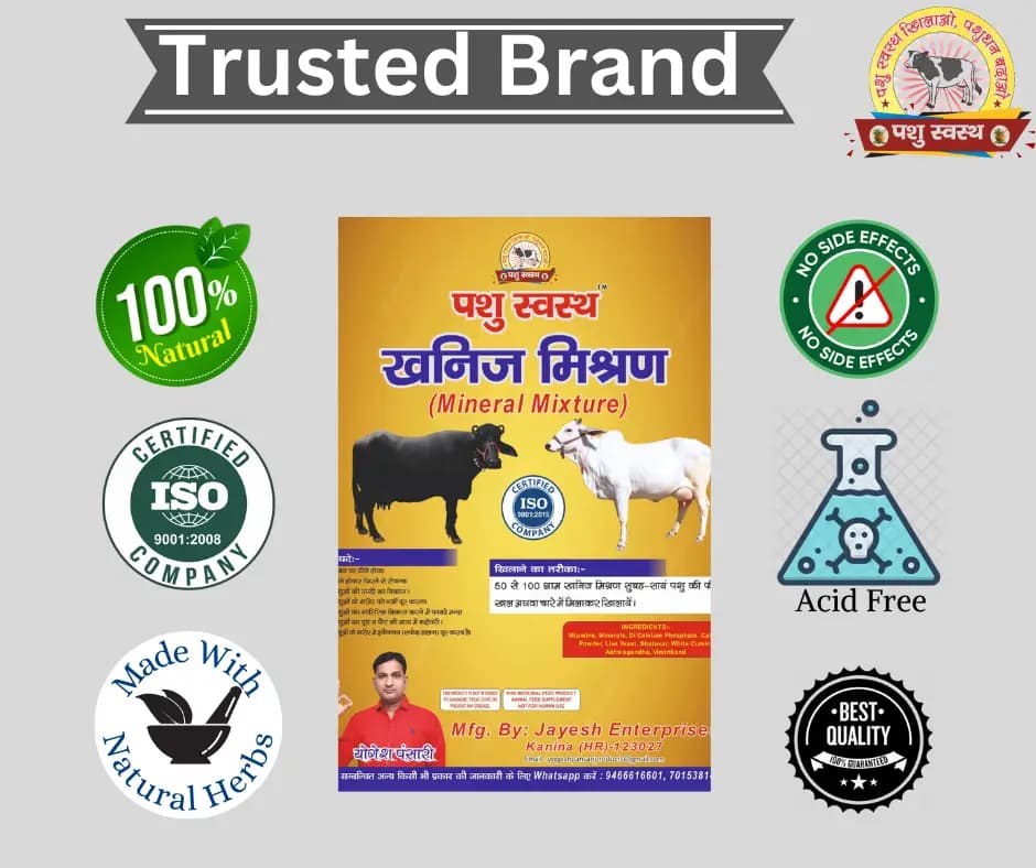PASHU SVASTH MINERAL MIXTURE, Animal Health Supplement, Increase Livestock Health & Productivity, The Mixture Enhances Milk Production - Image 7