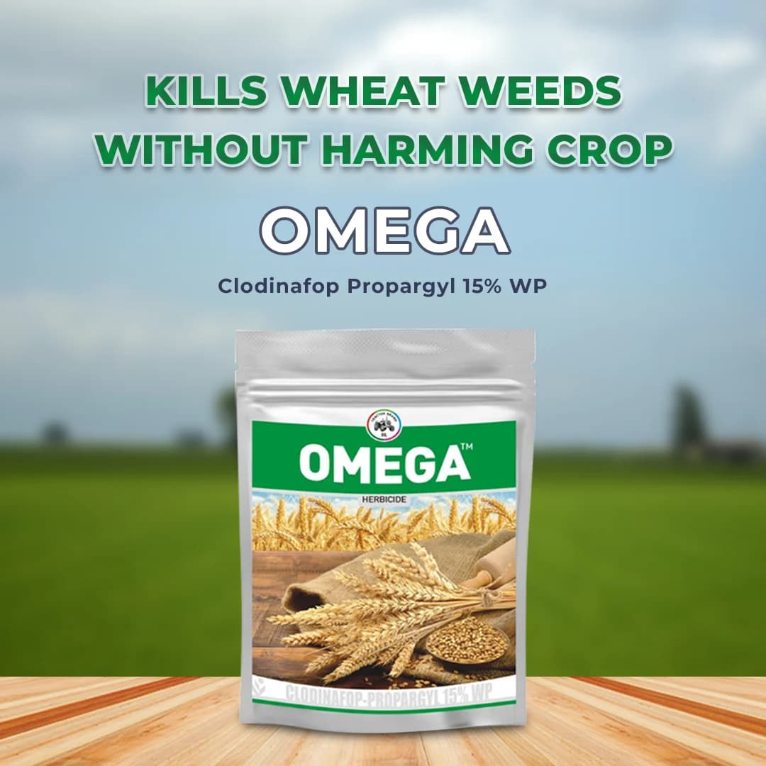 Insecticide India Omega Clodinafop Propargyl 15% WP, Post Emergence Broad Spectrum Herbicide - Image 2