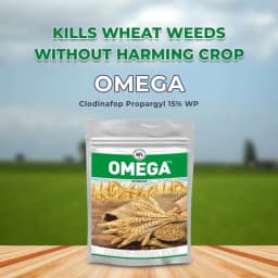 Insecticide India Omega Clodinafop Propargyl 15% WP, Post Emergence Broad Spectrum Herbicide 2