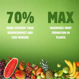 BloomBuddy All Purpose Plant Feed Granules, Organic Slow-Release Fertilizer with NPK & Micronutrients 3