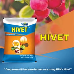 Hpm Hivet Sulphur 80% WDG Multipurpose Fungicide, As Micronutrient, Miticide, and Fungicide. 4