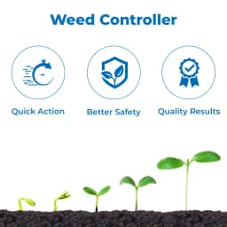 Crystal Avtaar Clodinafop Propargyl 15% WP Herbicide, Controls Narrow Leaf Weeds In Wheat Crop 3