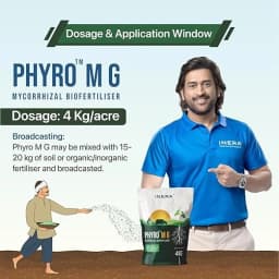 Inera PHYRO MG Mycorrhizal Bio Fertilizer, Eco-Friendly Fertilizer For Better Plant Health and Increased Crop Yield 5