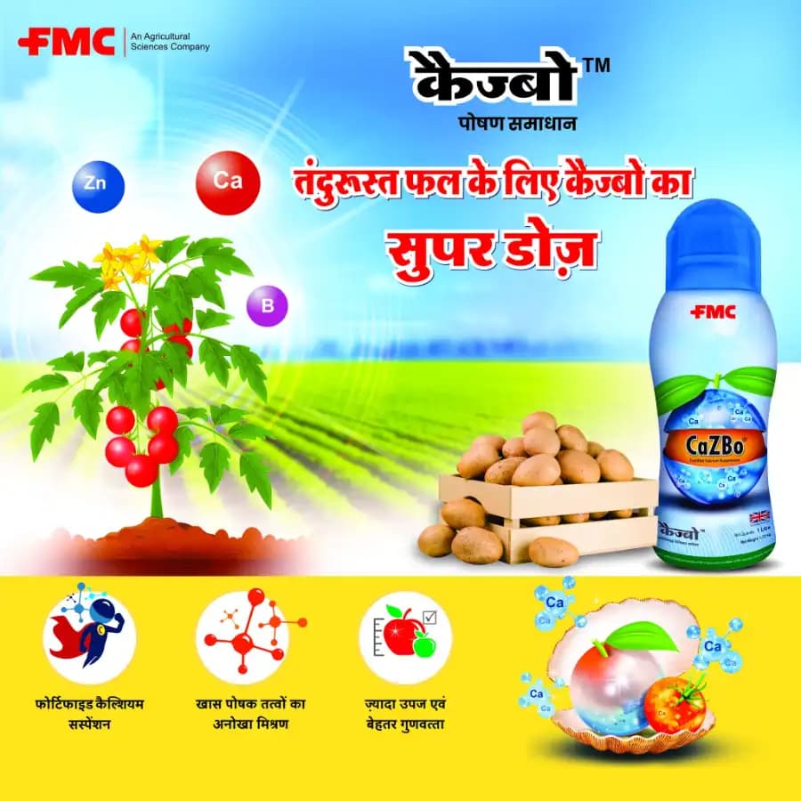 FMC Cazbo - Liquid Micronutrient Fertilizer - Image 6