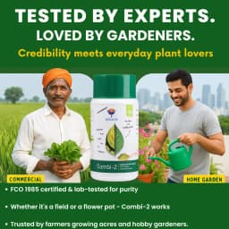 उत्कर्ष कॉम्बी-2 (EDTA चेलेटेड मिक्स माइक्रोन्यूट्रिएंट), जिंक, आयरन, मैंगनीज, कॉपर, बोरोन और मोलिब्डेनम जैसे आवश्यक सूक्ष्म पोषक तत्व प्रदान करता है। 6