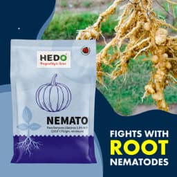 HEDO Nemato (Paecilomyces Lilacinus 1.0% WP) Bio Pesticide, Effective Against White Grubs And Other Harmful Soil Pathogens 2