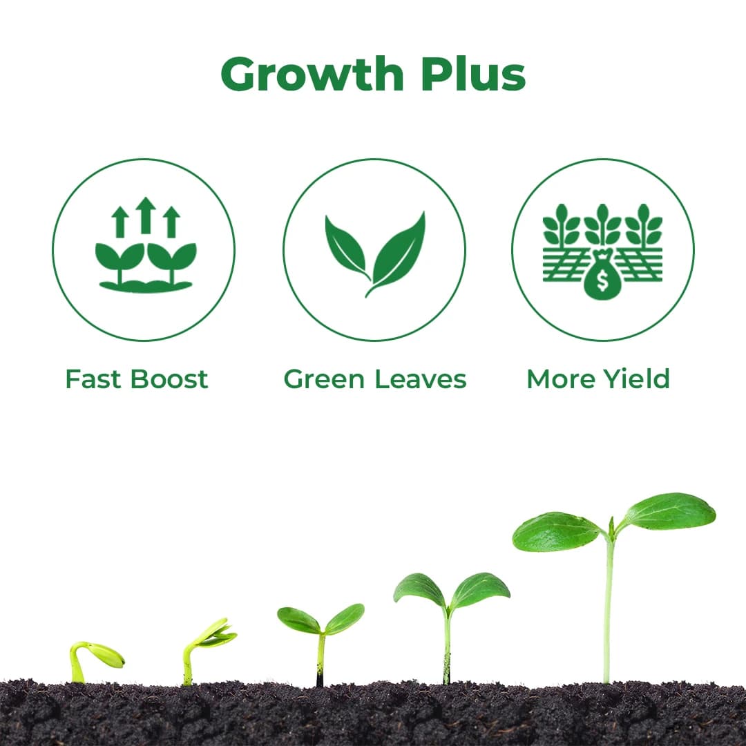 Crop Care GrowMore Triacontanol 0.1% Ew Plant Growth Regulator, Boosting the Plant and Regulating Its Growth - Image 3