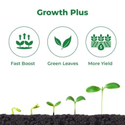 Crop Care GrowMore Triacontanol 0.1% Ew Plant Growth Regulator, Boosting the Plant and Regulating Its Growth 3