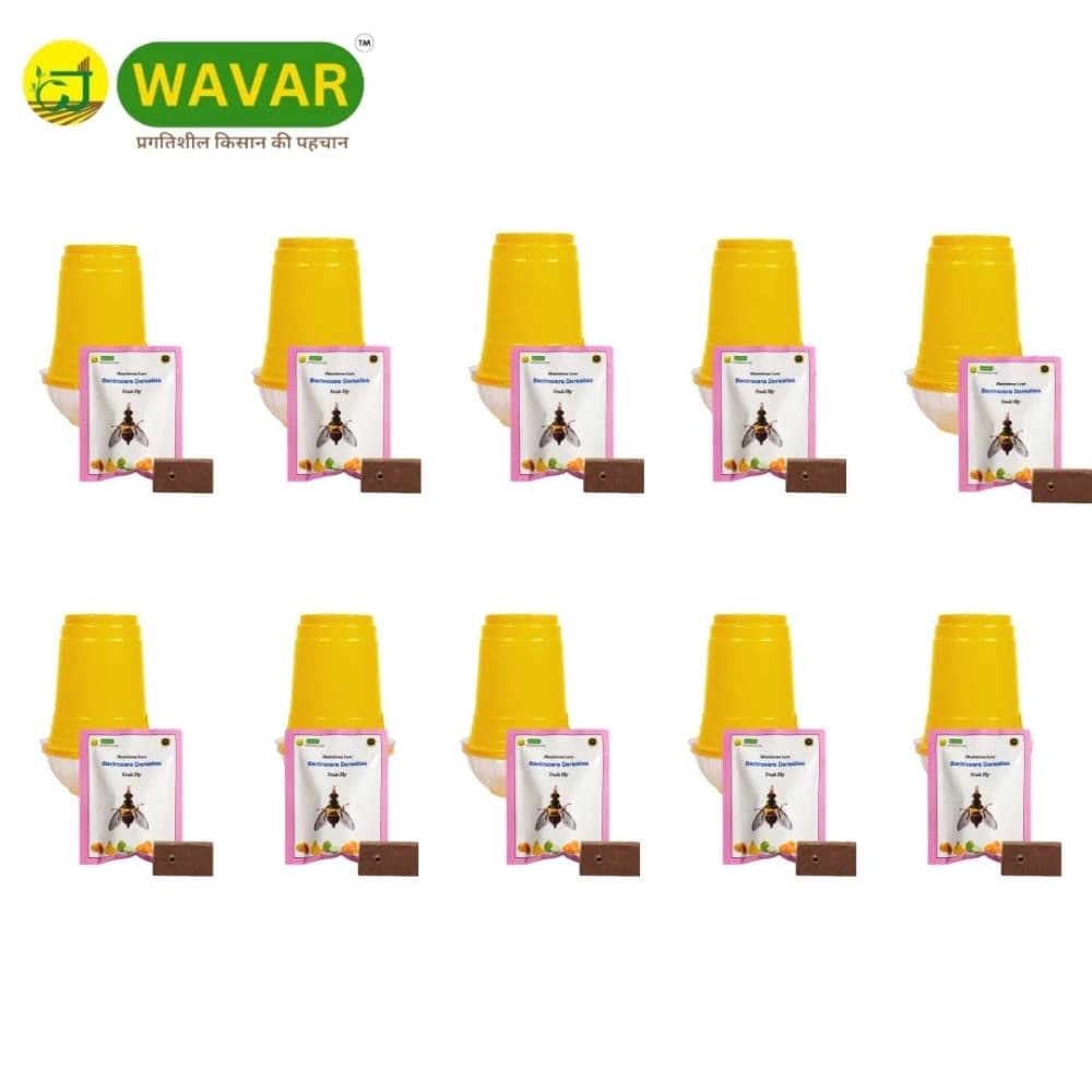 WAVAR Fruit Fly Trap Dorsalis Lure, Bactrocera Dorsalis, Effective Fruit Fly Pest Control - Image 6