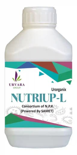 Nutriup - L - NPK Liquid Consortia of Nitrogen, Phosphorus & Potassium fixing bacteria for a combined mobilization of these nutrients from Soil 2