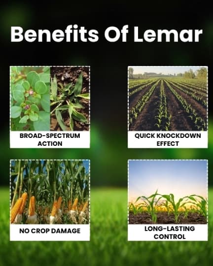 Katyayani Lemar Tembotrione 42% SC Herbicide, Broad Spectrum Post Emergence Herbicide, (Lemar 115 ml + Surfactant 400 ml) - Image 3