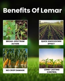 Katyayani Lemar Tembotrione 42% SC Herbicide, Broad Spectrum Post Emergence Herbicide, (Lemar 115 ml + Surfactant 400 ml) 3