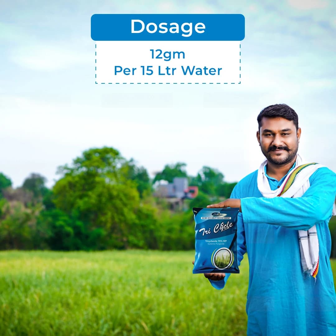 Agriventure Tri Cycle Fungicide - Tricyclazole 75% WP - Image 6