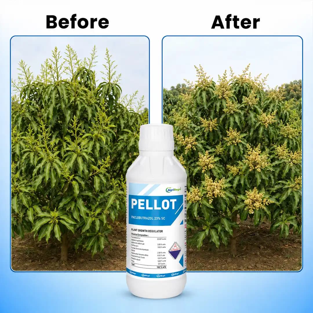 Pellot Plant Growth Regulator - Paclobutrazol 23% SC - Image 7