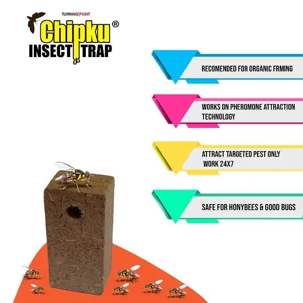 Chipku - Pheromone Glass Trap with Fruit Fly Lure (Bactrocera Dorsalis) For Papaya, Banana, Bitter Melon, Citrus, Coffee, Guava, Peppers, Mango - Image 2