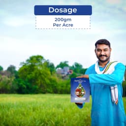 Aries Fertimax 13:00:45 Designed For Optimal Plant Nutrition High Quality Source of Potassium and Nitrogen 5