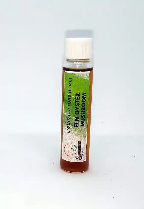 SporeKart White Oyster Mushroom Liquid Culture (10ml), 100% Clean, Active Mecelium Liquid Spawn. - Image 4