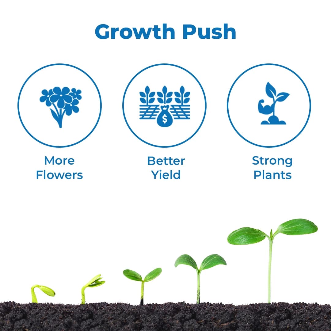 Bhumi Mr. Nano (Jasmonic Acid 1%) Nano Technology Based Flower Booster, Increases The Number Of Flowers In Crops & Also Reduces Flower Fall - Image 3