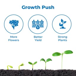 Bhumi Mr. Nano (Jasmonic Acid 1%) Nano Technology Based Flower Booster, Increases The Number Of Flowers In Crops & Also Reduces Flower Fall 3